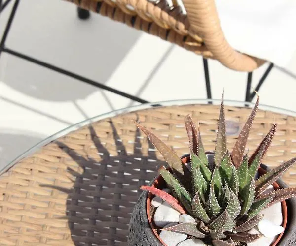 מלון דירות Sea & Stone Mykonos 4*