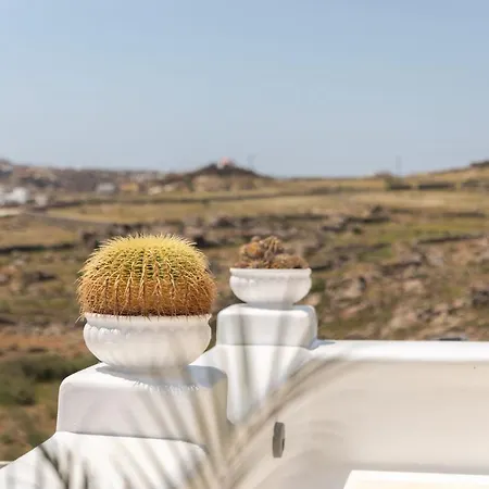 شقة فندقية Sea & Stone Mykonos بلاتيس يالوس
