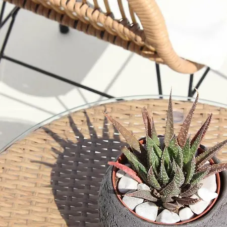 Lägenhetshotell Sea & Stone Mykonos 4*